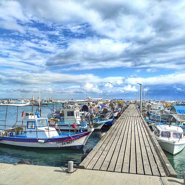 Location Scouting & Visual Surveys